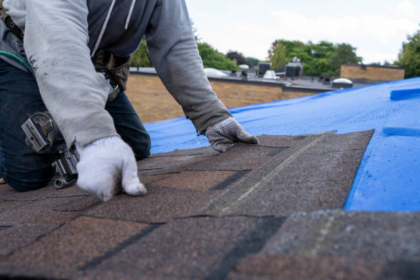 Quick and Trustworthy Emergency Roof Repair Services in Chena Ridge, AK